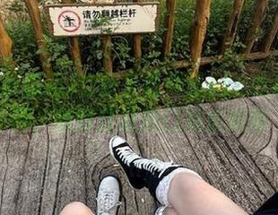 立即下载娱乐718吃瓜网官网，随时获取热门娱乐新闻