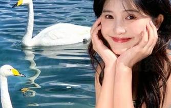 下载五一吃瓜官网网页版，轻松获取热门视频和吃瓜资讯