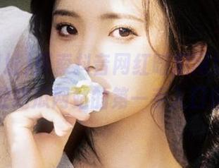探索抖音网红吃瓜网址大全，获取吃瓜网站的第一手入口信息