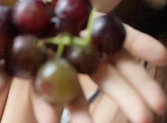 下载每日黑料，轻松吃瓜，了解身边的奇闻怪事！