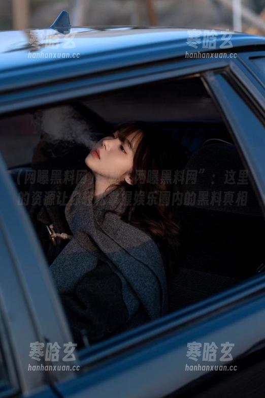探秘“网曝黑料网”：这里的资源让你轻松掌握娱乐圈内的黑料真相！
