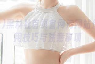 黑料社首页官网污网站传送门使用技巧与注意事项