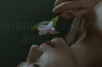黑料网下载免费指南，粉丝登录账号安全防护技巧