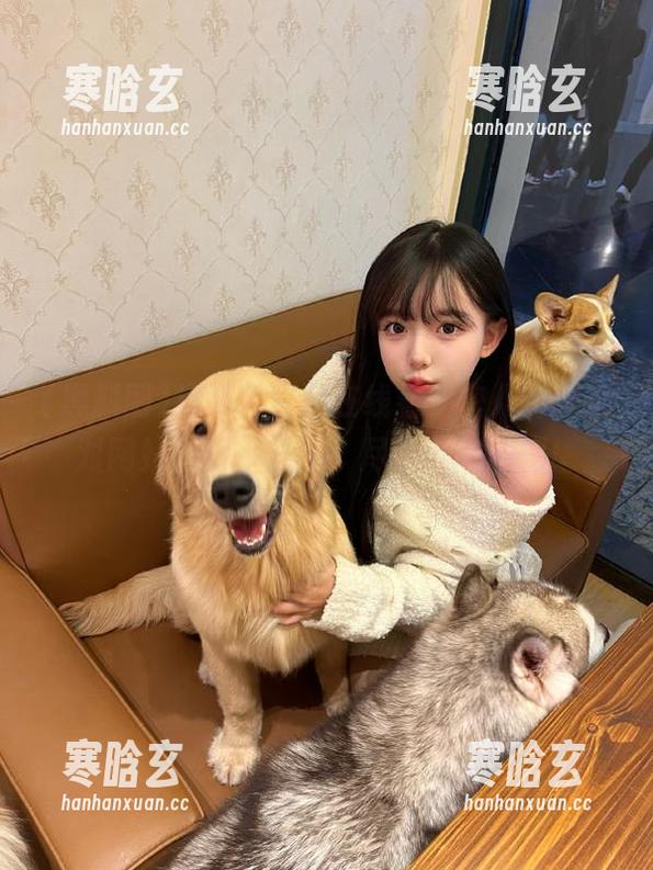 探索黑料网在线看秘密八卦，选对网站，永不迷路，尽享信息乐趣！